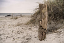 Fehmarn Strand von Stephan Zaun