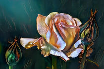 The Rose. Minas' Trove. von Artly Studio