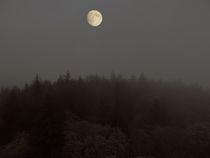 mond über hunsrück by georg gensler