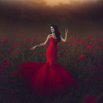 Poppy field fire von Marina Zharinova