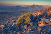 Morning over Al Hamra von Franz Sußbauer