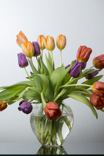 Tulpen in Kristallvase by Wolfgang Cezanne