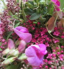 rosarote Sommerblumenträume - Naturfotografie - Design handmade - Fotografie - liebliche Farbenpracht von Heide Pfannenschwarz