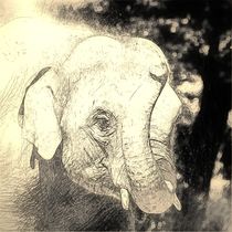 Digital Art Elefant von kattobello