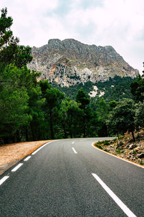 Road to Serra de Tramuntana von Tobias Otto