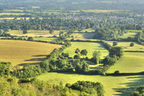 Chantry Hill to Storrington von Malc McHugh