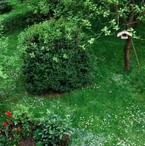 GEMÜTLICHE RUHEOASE. Garten mit Vogelhäuschen im Frühling. von li-lu