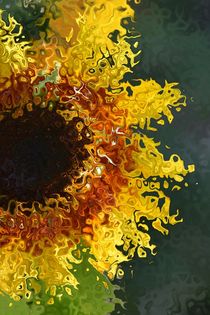 Sonnenblume 1 by alana
