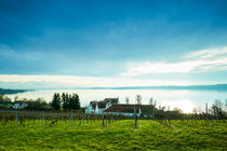 Blick von Birnau auf das Südufer des Bodensees by sven-fuchs-fotografie