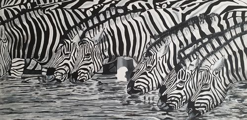 Zebras-am-wasser