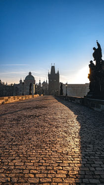 Morning on Charles Bridge von Tomas Gregor