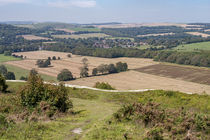 Findon Village View von Malc McHugh