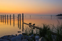 Kurz vor Sonnenaufgang auf der Halbinsel Höri - Bodensee von Christine Horn