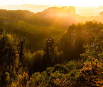 Sonnenuntergang im Nationalpark von Dirk Hoffmann