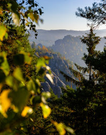 Durchblick von Dirk Hoffmann