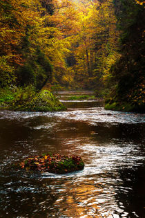 Herbst im Polenztal  by Dirk Hoffmann