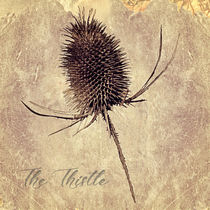 The Thistle von Peter Hebgen