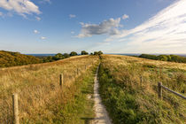 Chalk Path South von Malc McHugh