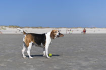 Urlaub auf Norderney / 7 by Heidi Bollich