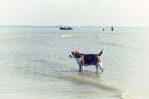 Urlaub auf Norderney / 9 von Heidi Bollich