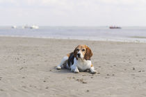 Urlaub auf Norderney / 5 von Heidi Bollich