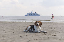 Urlaub auf Norderney / 4 von Heidi Bollich