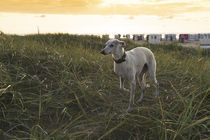 Ein Tag am Strand / 11 by Heidi Bollich