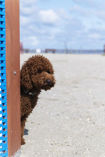 Ein Tag am Meer / 17 von Heidi Bollich