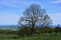 In der hohen Rhön von Claudia Evans