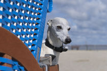 Ein Tag am Strand / 19 by Heidi Bollich