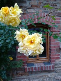 Nostalgie am Fenster  von susanne-seidel