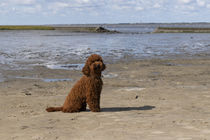 Ein Tag am Strand / 24 by Heidi Bollich