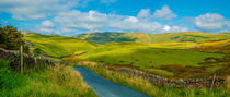 Dales Panorama by Colin Metcalf