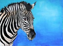 Zebra von markgraefe