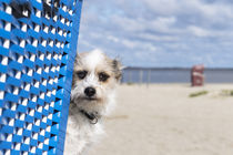 Ein Tag am Strand / 25 von Heidi Bollich