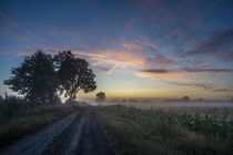 Sonnenaufgang über dem Feld