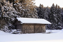 Romantische Winterstimmung am Waldrand im Schnee von Werner Meidinger