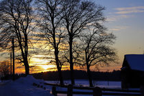 Romantische Winterstimmung im Sonnenuntergang des letzten Tageslichts.  by Werner Meidinger