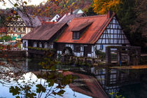 Hammerschmiede am Blautopf by Michael Naegele