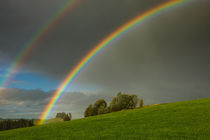 Regenbogen bei Eschach im Ostallgäu von Christine Horn