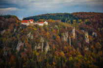 'Burg Wildenstein im Naturpark Obere Donau' von Christine Horn