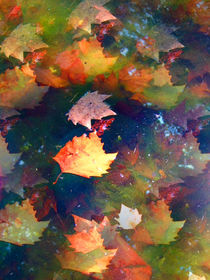 Buntes Herbstlaub im Teich by Ursula Schmidt