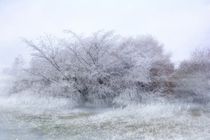 Winterzeit von Claudia Evans