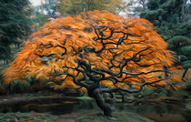 Japanese Maple Tree by davvy-arts