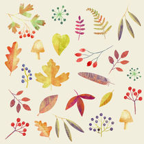 Autumn Walks by Nic Squirrell
