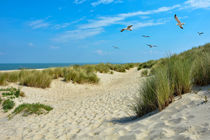 Strand Idylle von Claudia Evans