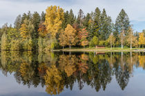 Herbst am See / autumn at the lake by Gabi Emser