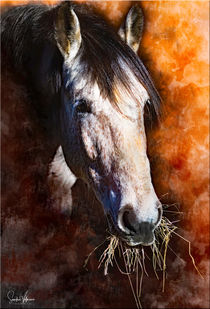Horsemoments by Sandra  Vollmann