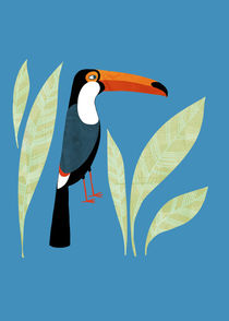 Toucan von Nic Squirrell