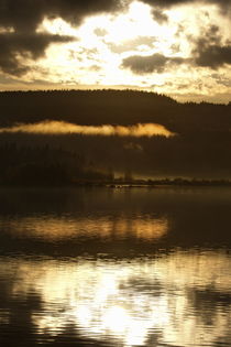 Golden glowing haze is reflected in a quiet forest lake by Intensivelight Panorama-Edition